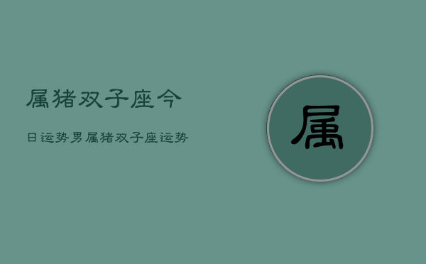 属猪双子座今日运势男，属猪双子座运势男今日